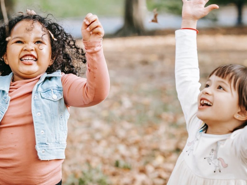 Proceso de desescolarización
